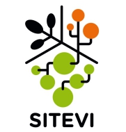 Estal estuvo presente en sitevi 2015