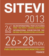 Estal estuvo presente en sitevi 2013